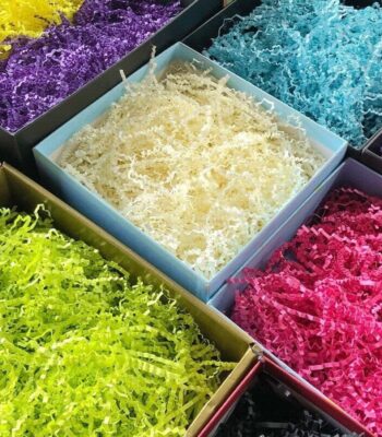 WhatsApp Image 2026-02-15 at 1.21.44 PM